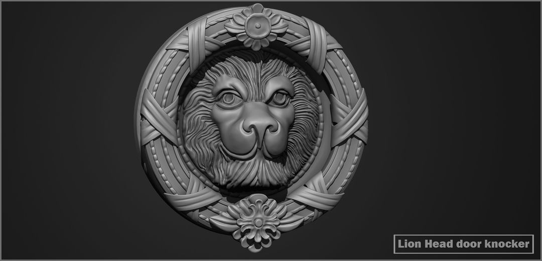 Lion Head door knocker by Ayush G.