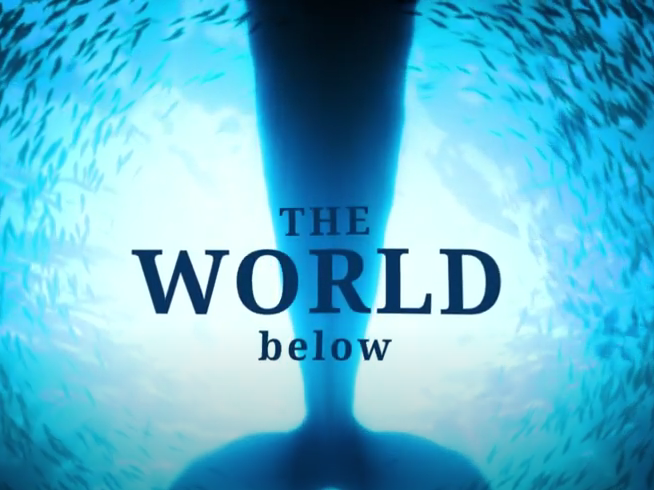 The World Below - A glimpse into what lies beneath the waves