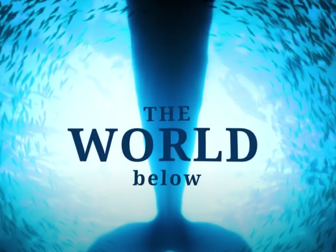 The World Below - A glimpse into what lies beneath the waves by GlassFrog Productions