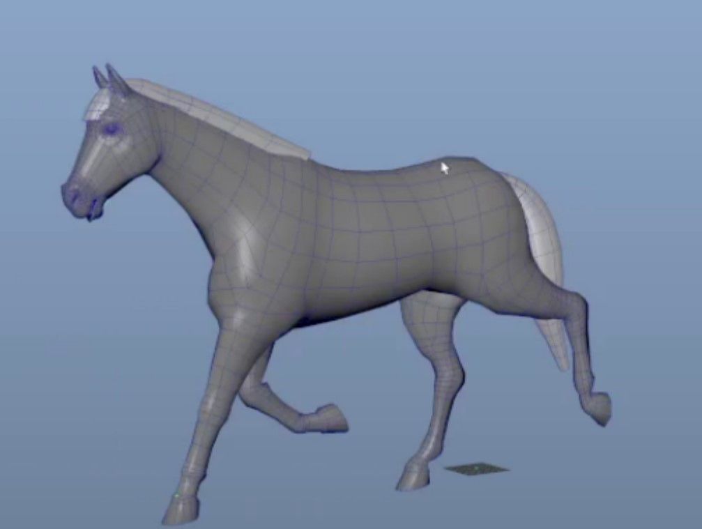 Horse animations
