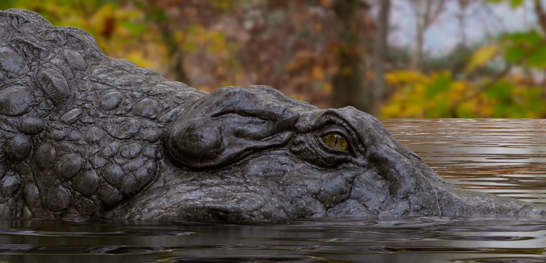 Crocodile