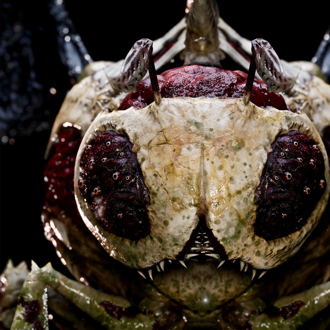 Buzzies Family - UNDEAD