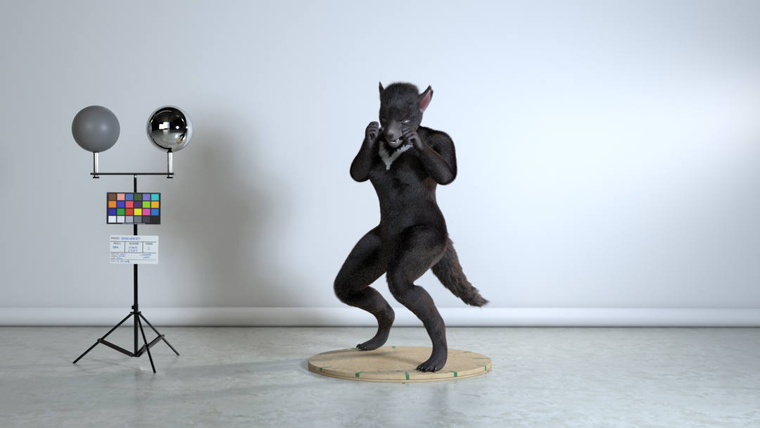 Tazmanian Devil Fur groom