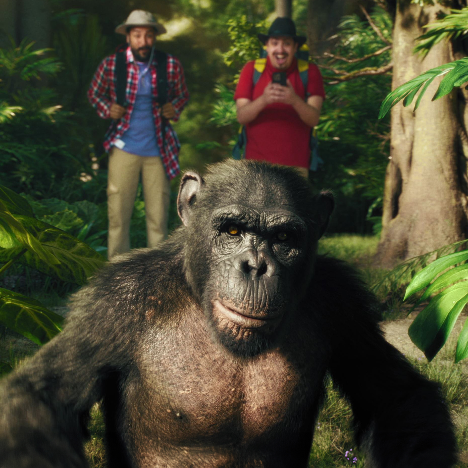 Airalo Campaign - Gorilla Film 2023