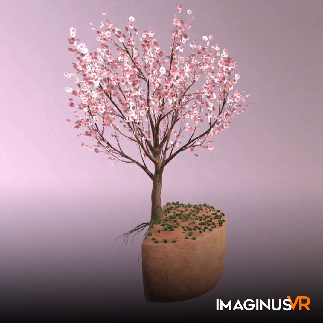 NGSS: Cherry Blossom