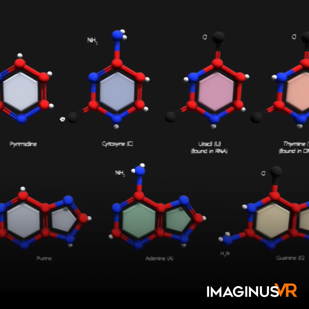 NGSS: Nuclead Acid
