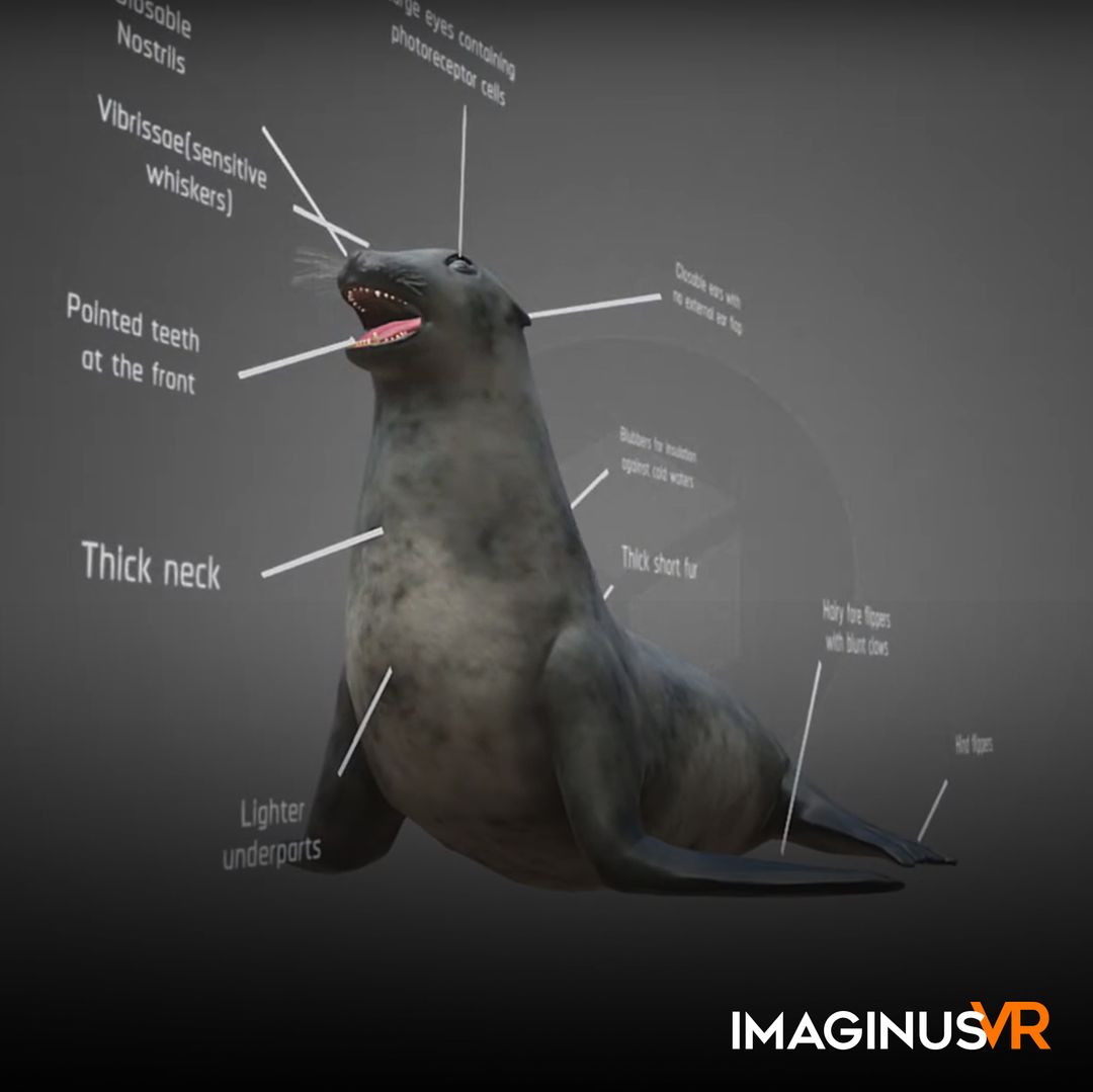 NGSS: Seal