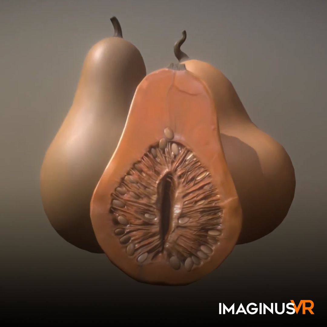 NGSS: Gourd
