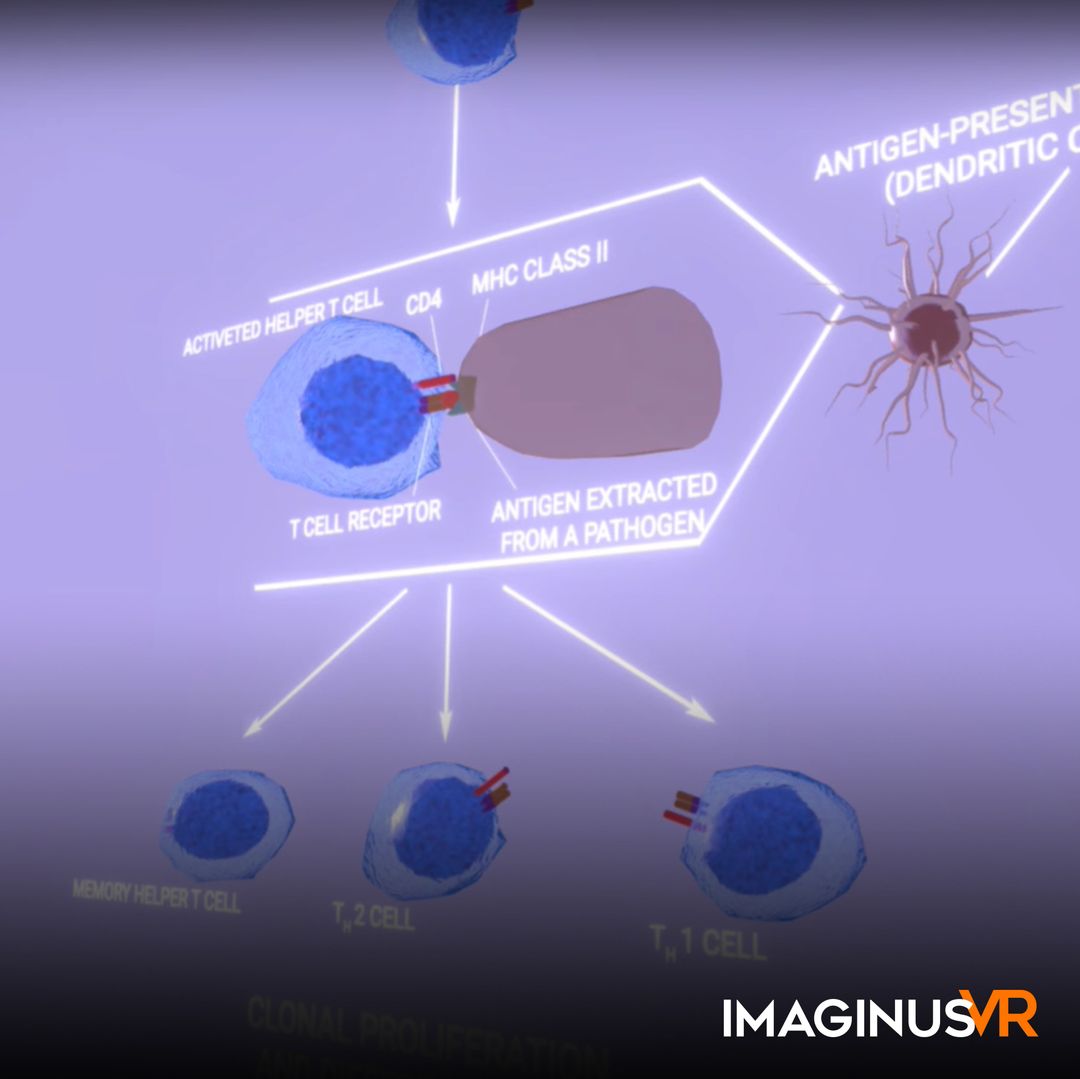 NGSS: Lymphocyte