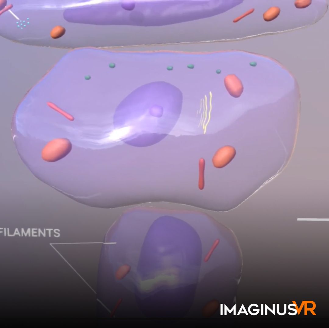 NGSS: Oral Cells