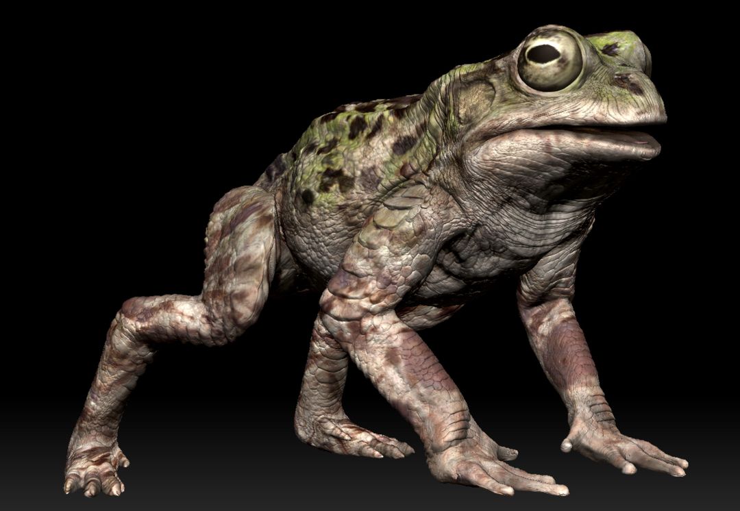 3D creatures concepts