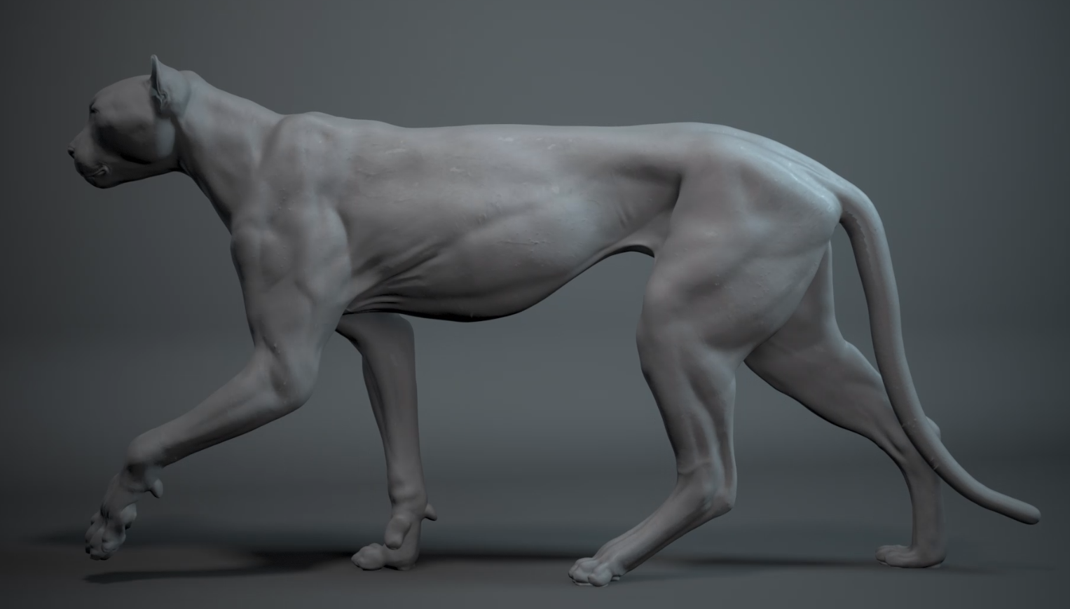 Cheetah Ziva simulation