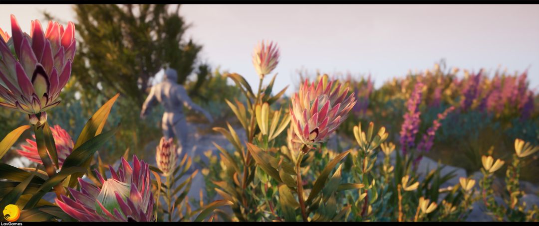 South Africa's Floral Kingdom