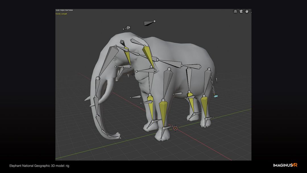 Elephant Animation - Nat Geo
