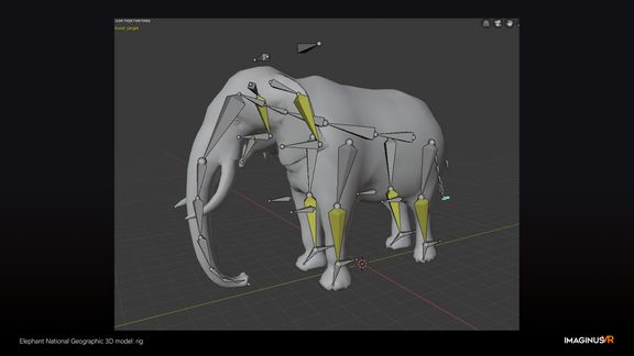 Elephant Animation - Nat Geo