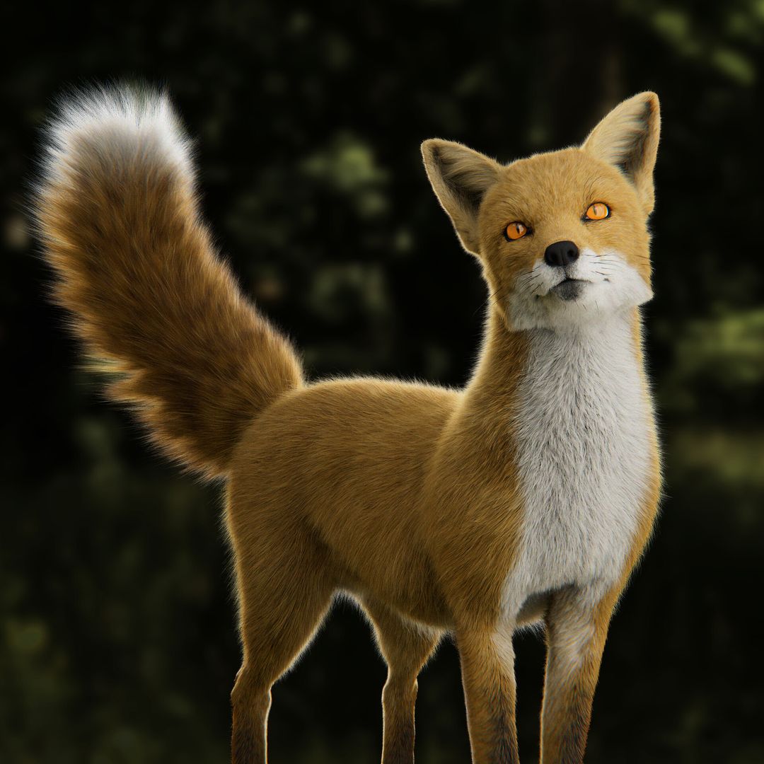 Fox Groom by Lucas R.