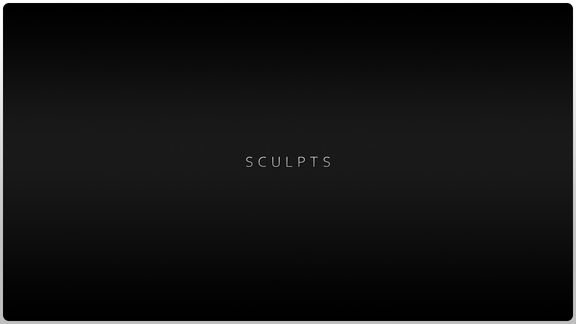 3D - Sculpts