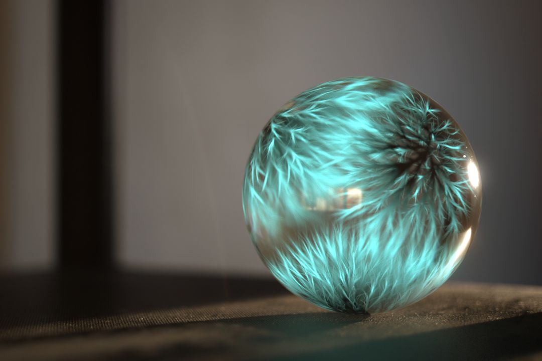 Unknown Life Form