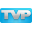 TVPaint Icon