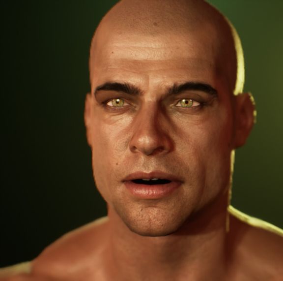 Male Anatomy (Real Time)