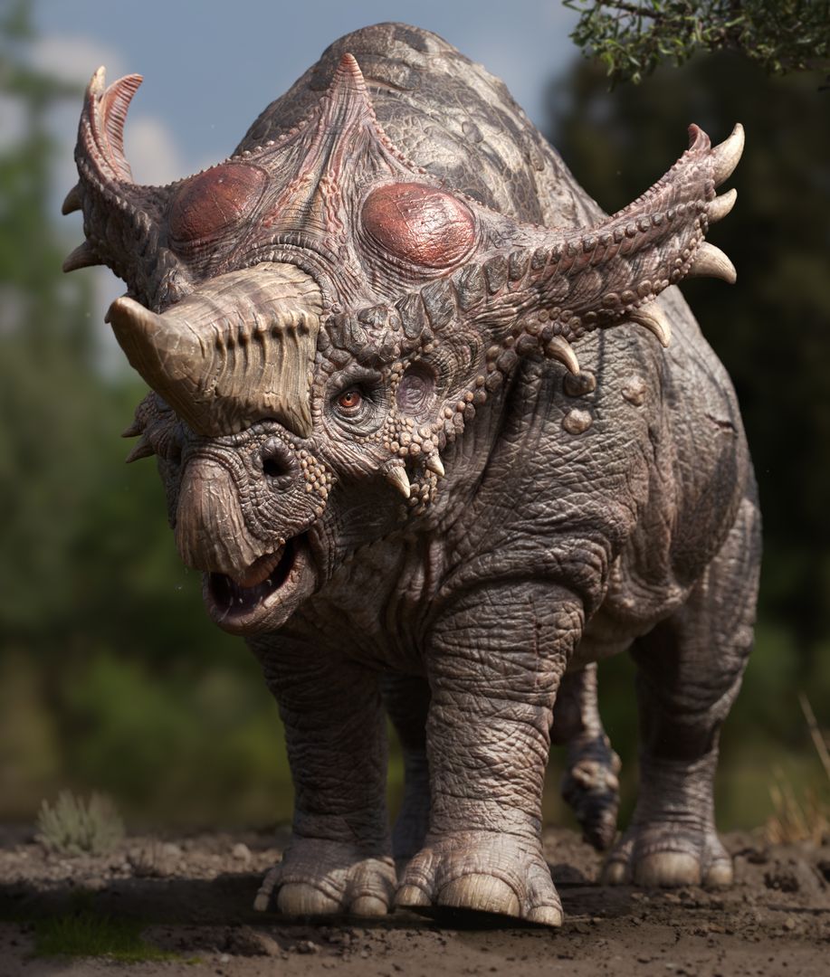 RHINOTESTICUS