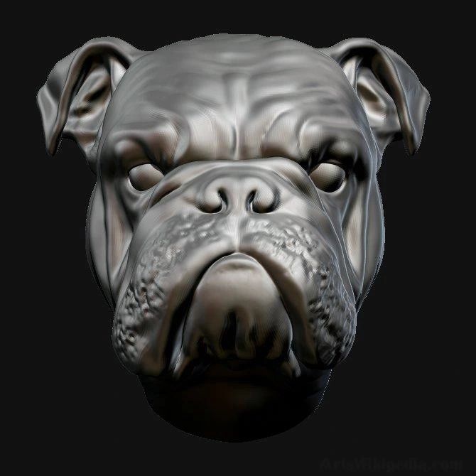 3D  Dog modeling