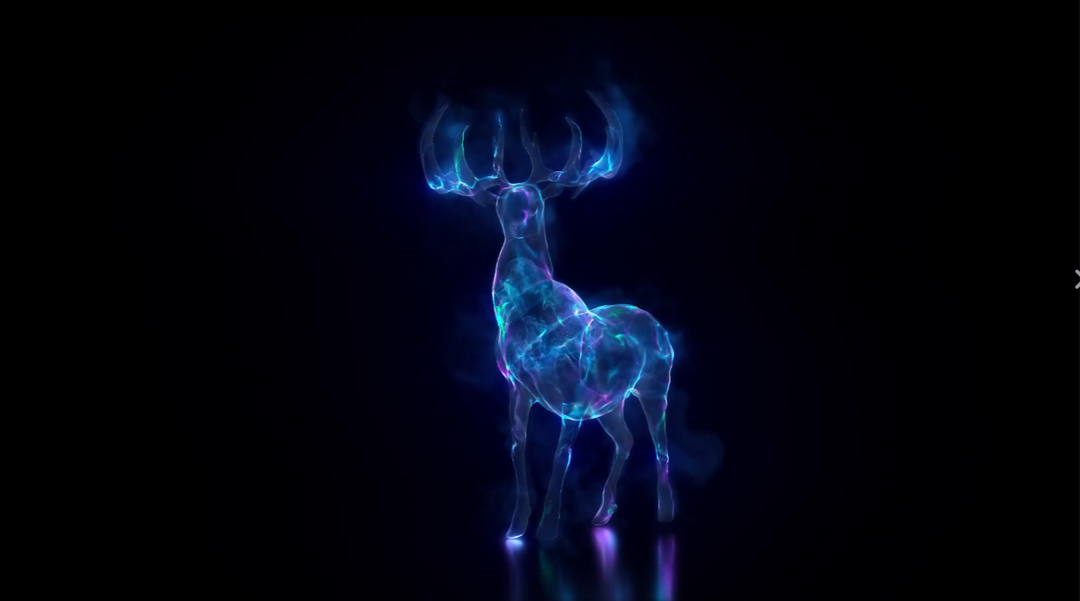 Harry Potter : Expecto Patronum