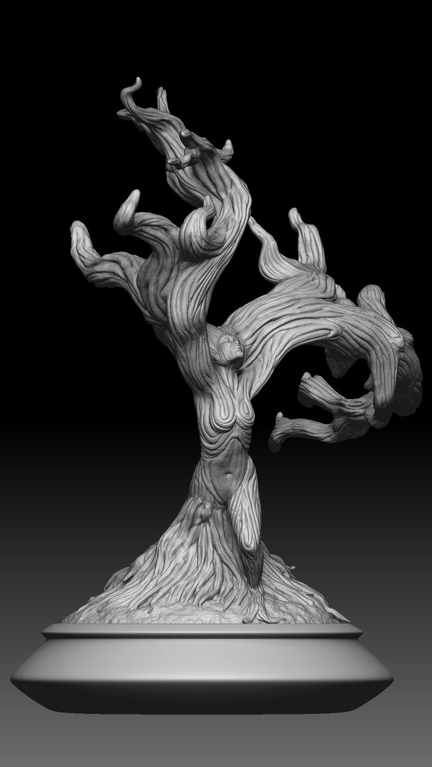 Bonsai Tree Sculpting