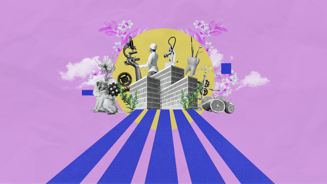 Commercial Ad (TV, Youtube, Instagram, Facebook)