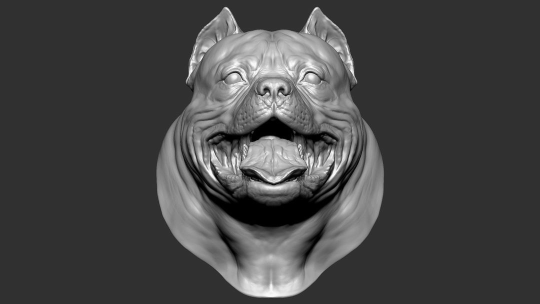 3D character modeling for a dog