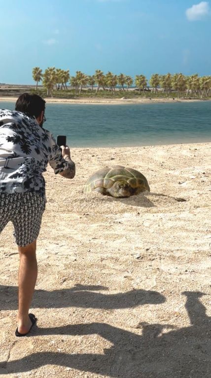 Mystical Journeys Over Zuha Island