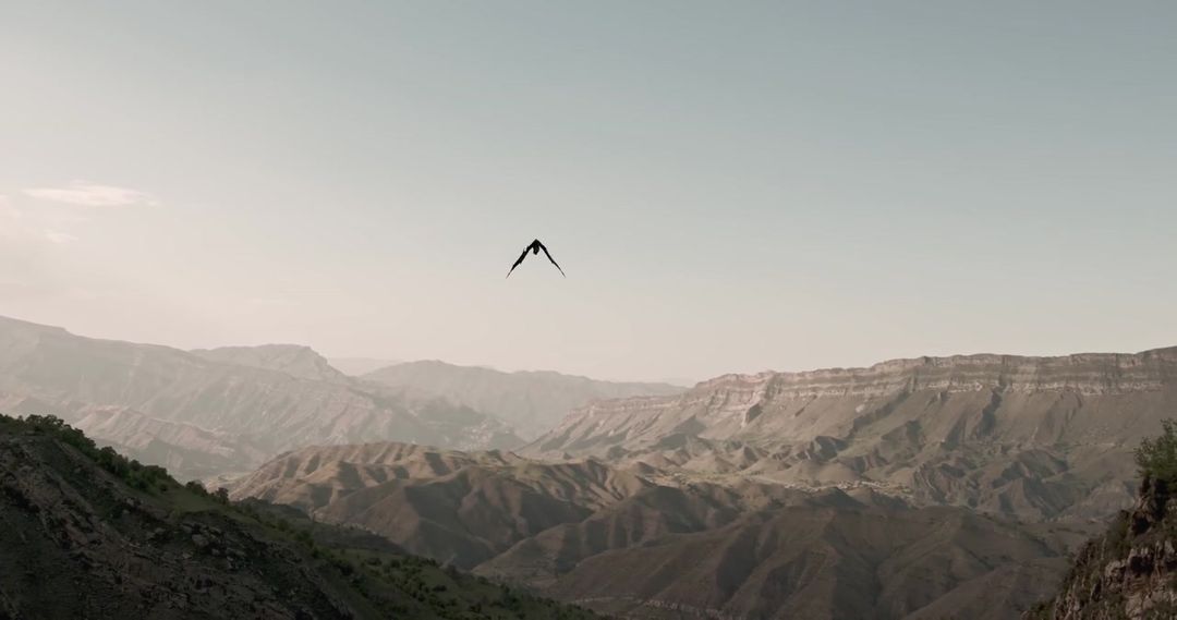 CG composition