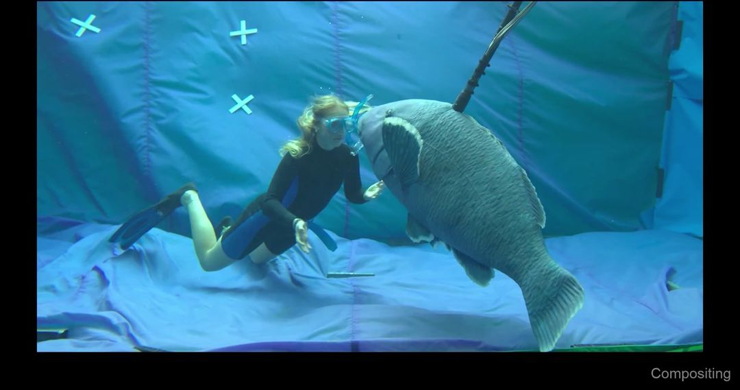 Film 'Blueback'