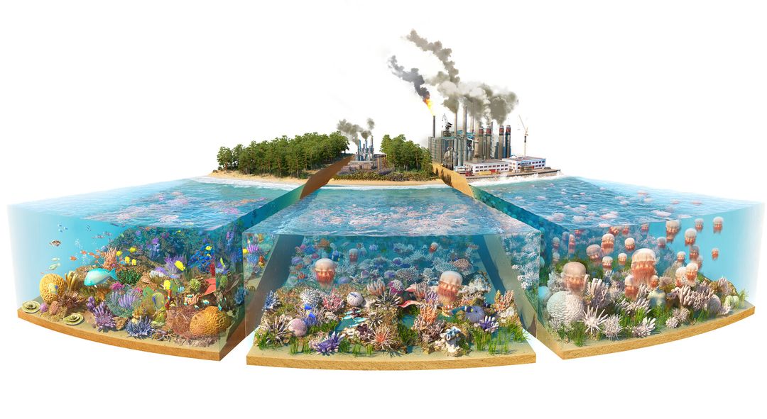 Climate Change - Ocean acidification