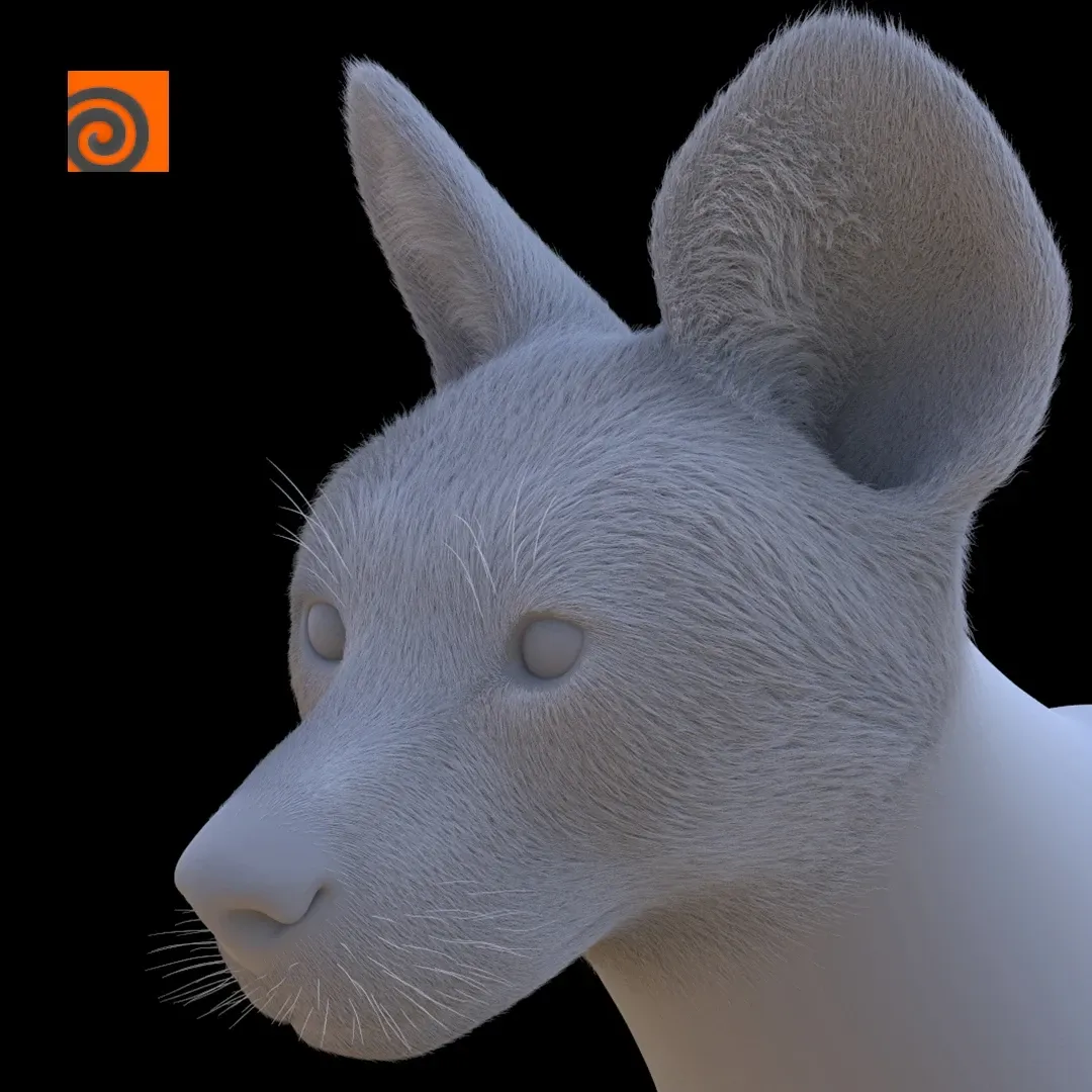 Wild Dog Head Houdini