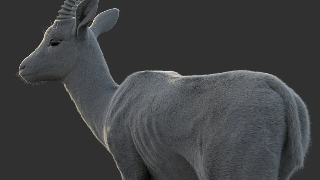 Gazelle Xgen Gray version
