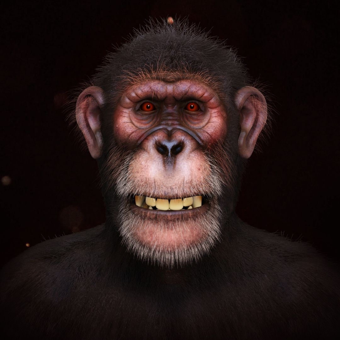 Chimpanzee Sculpting
