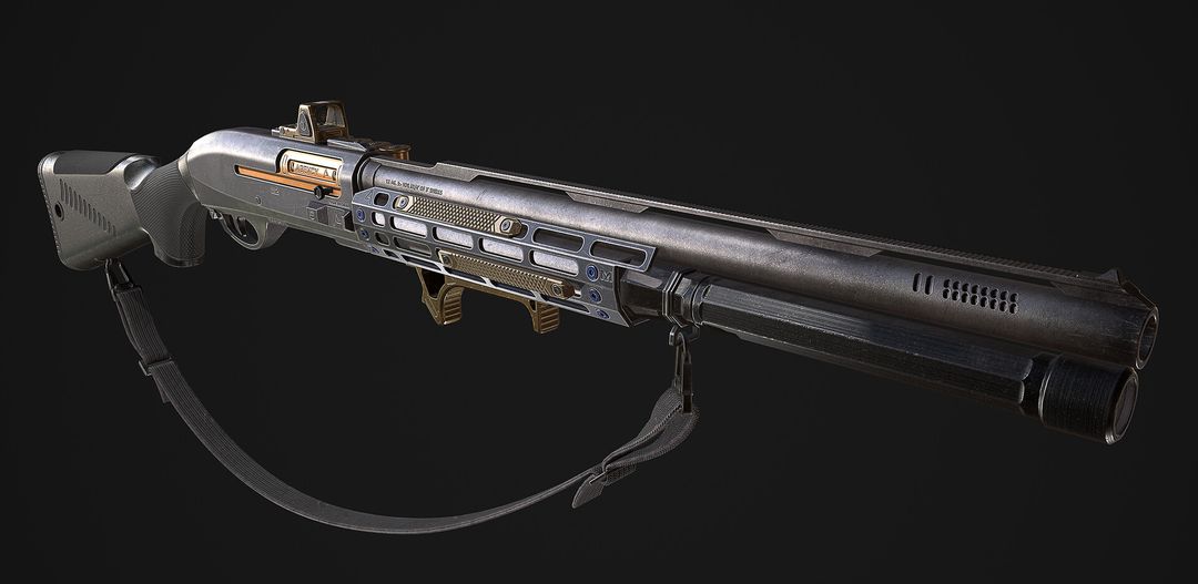 12 Bore Gun