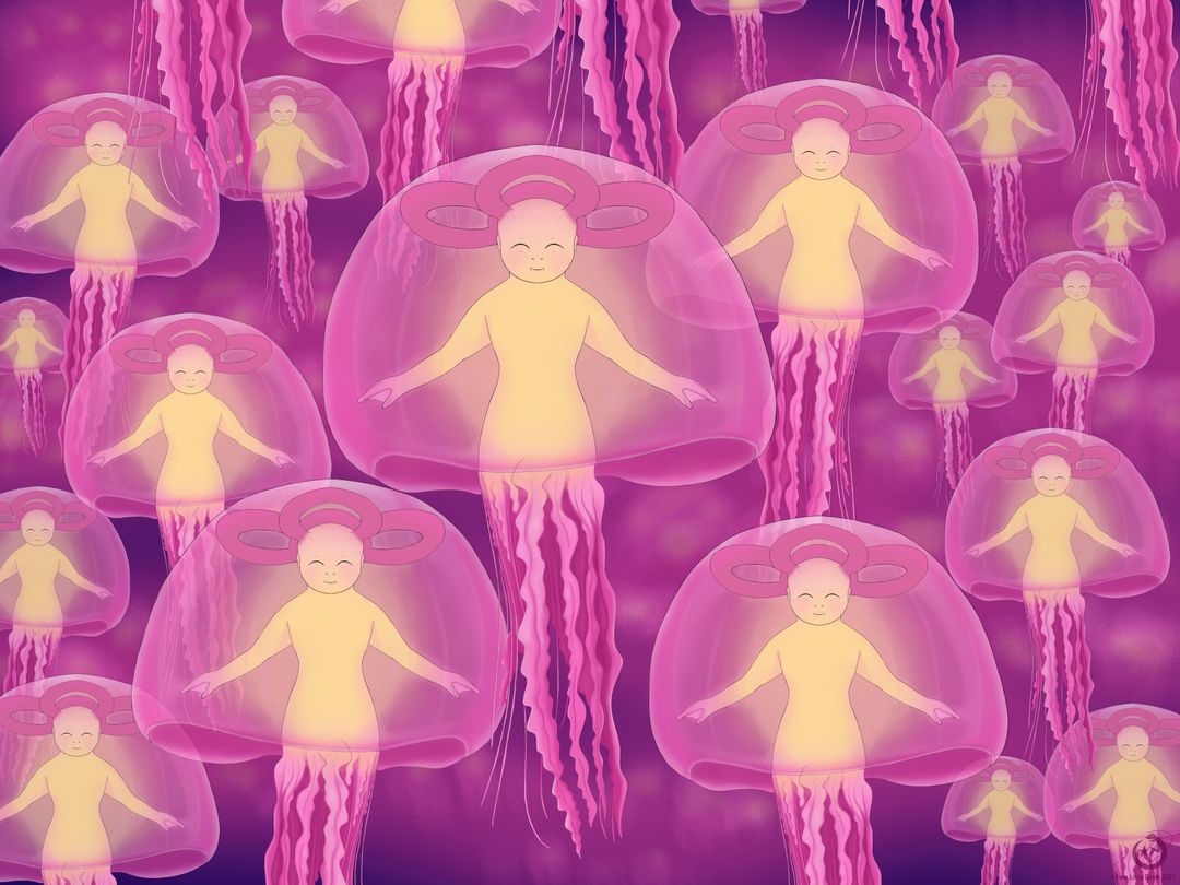 Jellymaids