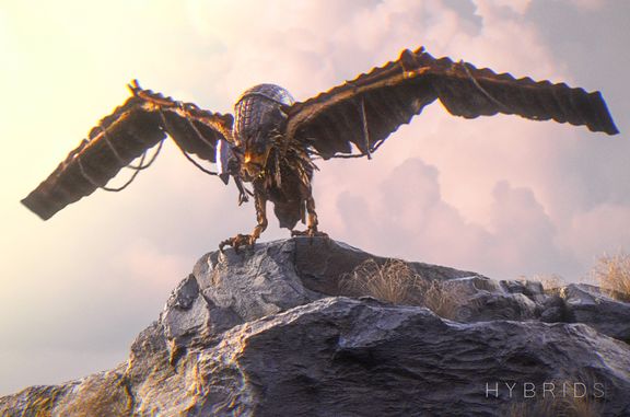 HYBRIDS - Bird Design