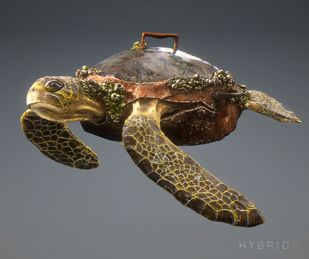 HYBRIDS - Turtle Design