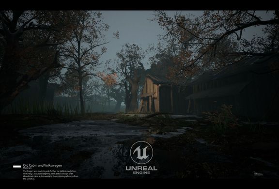 Volkswagon and Cabin