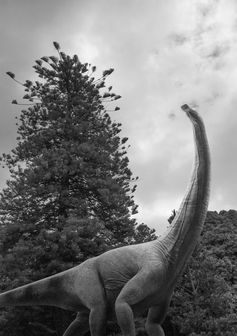 B&W Dinosaur Photography (Photoshop)