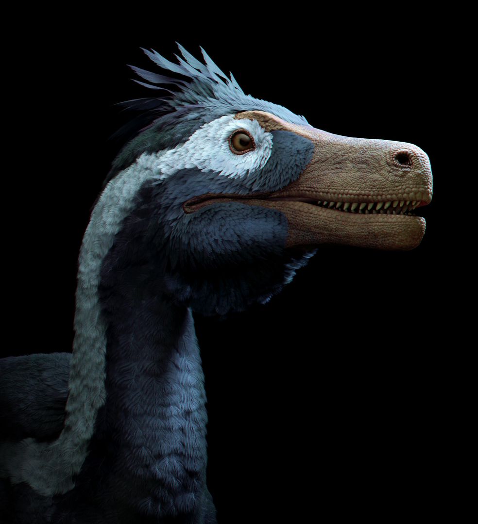 Adasaurus