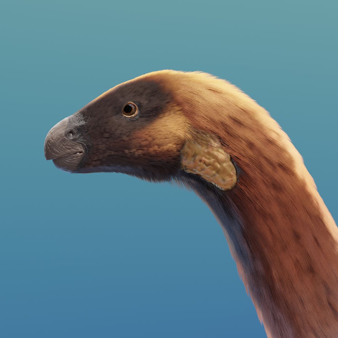 Therizinosaurus Cheloniformis - Reconstruction