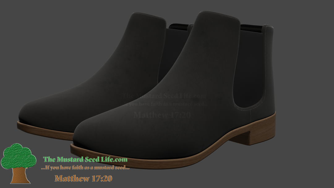 3D Shoe Model