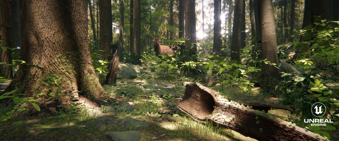 P01 - FOREST & DEER - UE5