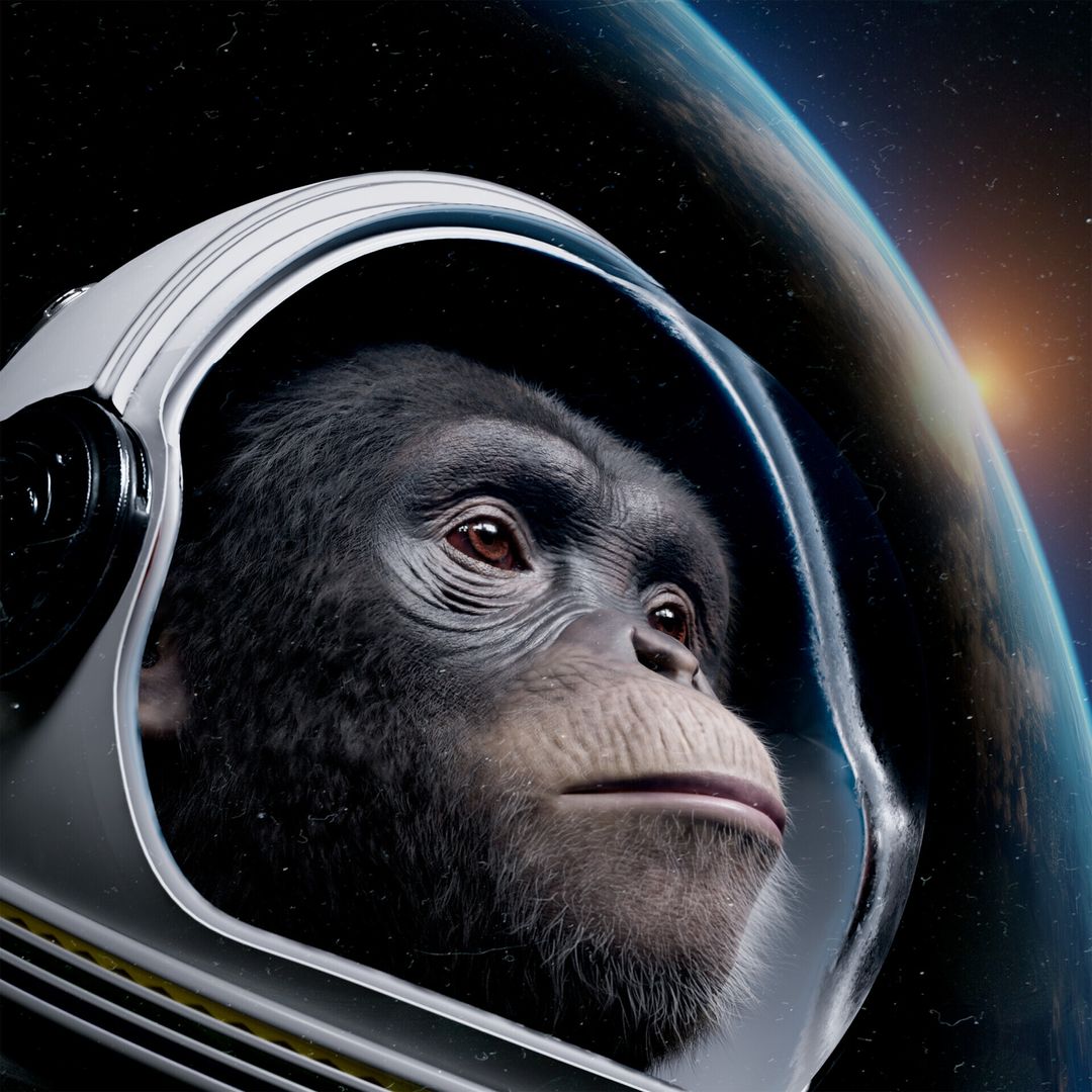 Space Chimp
