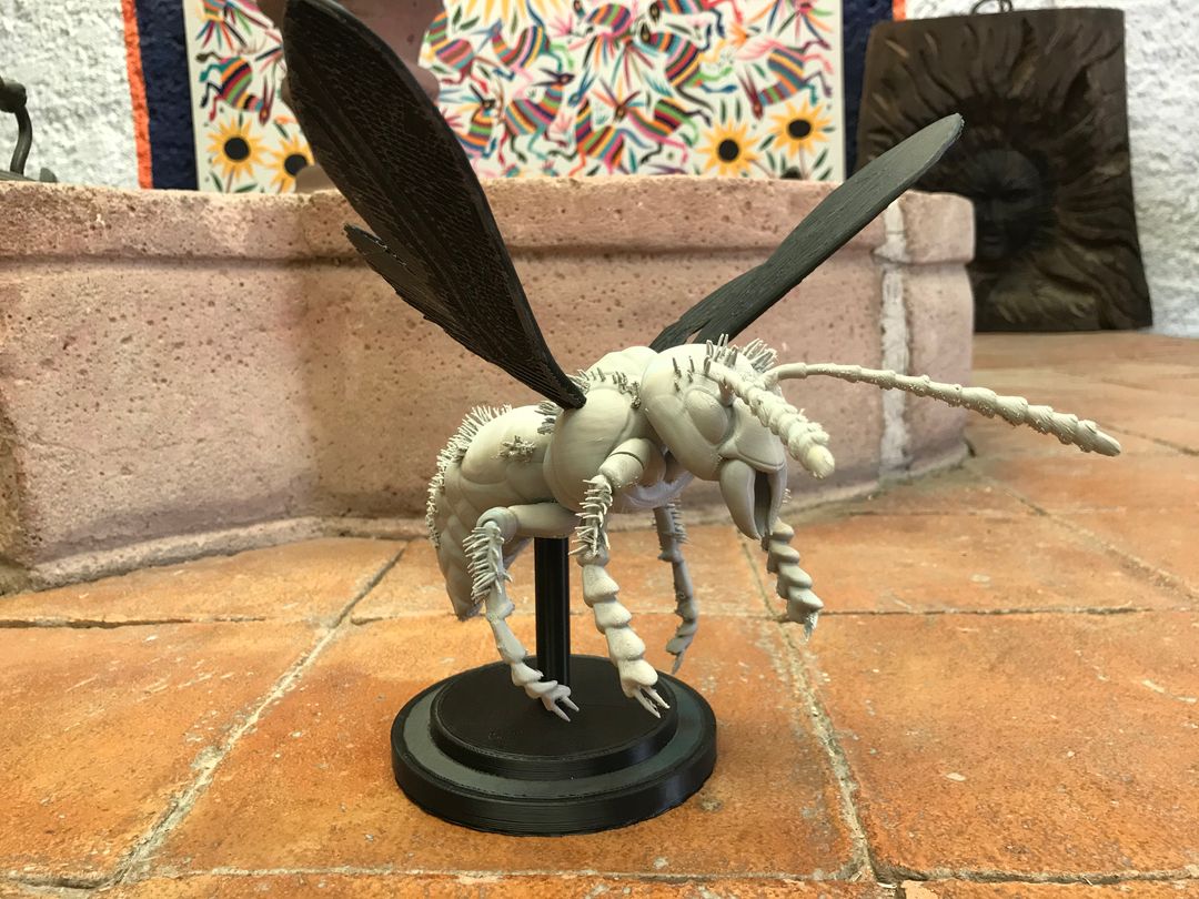 Murdering Asian Hornet 3D Print