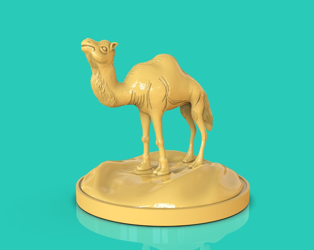 Camel Dromedary